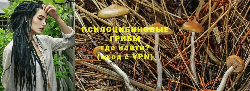 Галлюциногенные грибы MAGIC MUSHROOMS Старая Русса